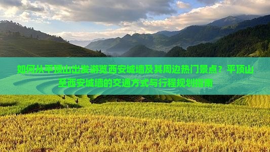 如何从平顶山出发游览西安城墙及其周边热门景点？平顶山至西安城墙的交通方式与行程规划指南