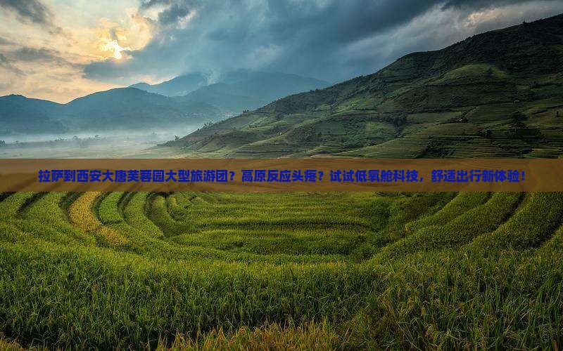拉萨到西安大唐芙蓉园大型旅游团？高原反应头疼？试试低氧舱科技，舒适出行新体验！