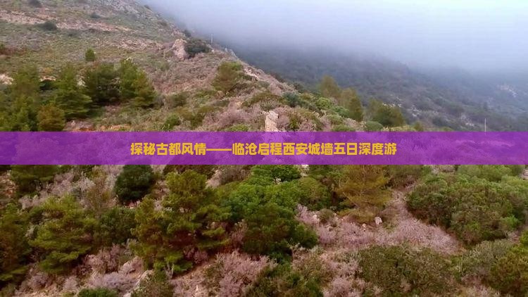 探秘古都风情——临沧启程西安城墙五日深度游