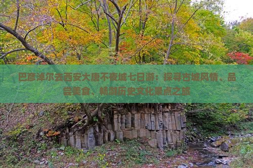 巴彦淖尔去西安大唐不夜城七日游：探寻古城风情、品尝美食、畅游历史文化景点之旅