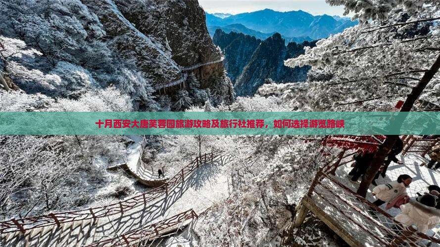 十月西安大唐芙蓉园旅游攻略及旅行社推荐，如何选择游览路峡