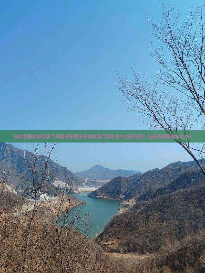 去吐鲁番旅游后想了解西安陕西历史博物馆门票价格？如何购买？当天购票困难怎么办？