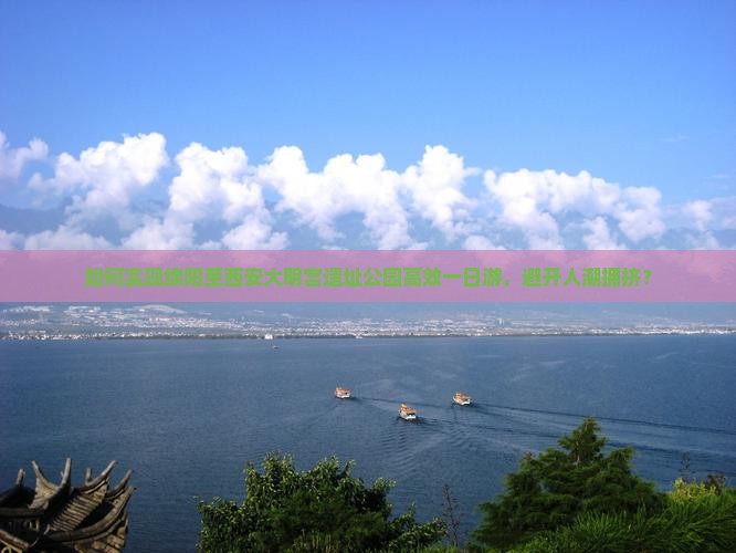 如何实现绵阳至西安大明宫遗址公园高效一日游，避开人潮拥挤？
