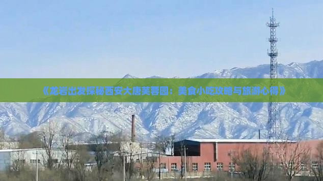 《龙岩出发探秘西安大唐芙蓉园：美食小吃攻略与旅游心得》