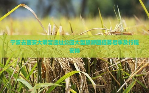 宁波去西安大明宫遗址公园大型旅游团招募启事及行程安排
