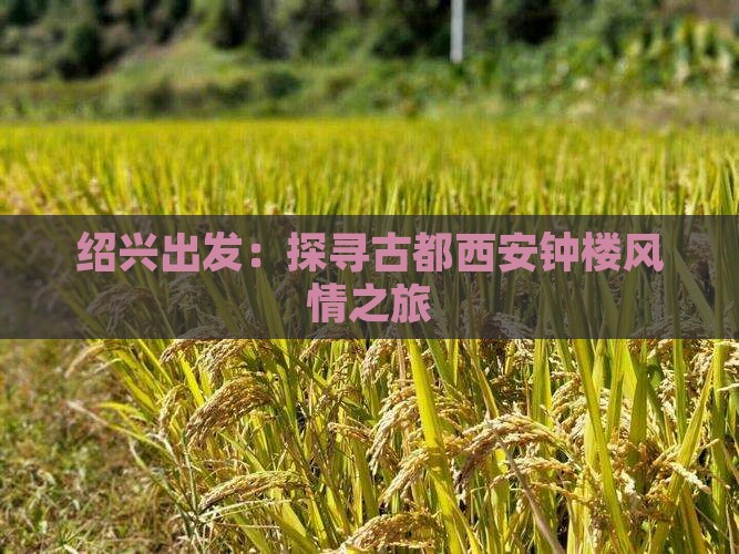 绍兴出发：探寻古都西安钟楼风情之旅