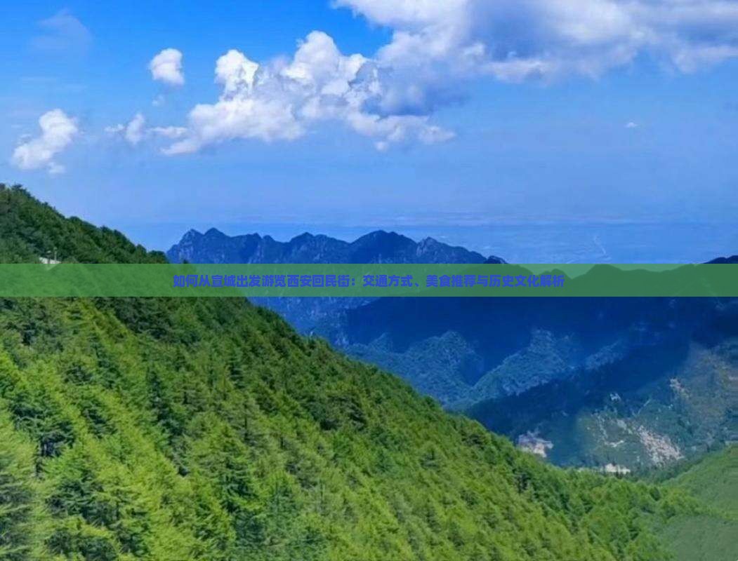 如何从宣城出发游览西安回民街：交通方式、美食推荐与历史文化解析