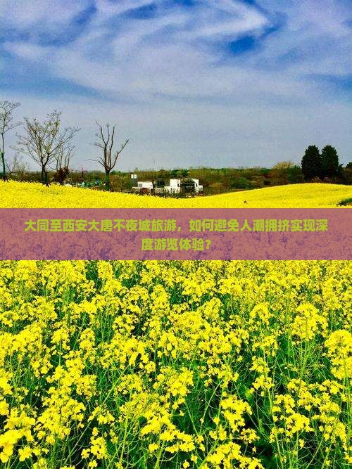 大同至西安大唐不夜城旅游，如何避免人潮拥挤实现深度游览体验？