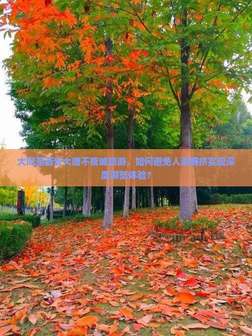 大同至西安大唐不夜城旅游，如何避免人潮拥挤实现深度游览体验？