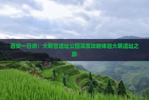 西安一日游：大明宫遗址公园深度攻略体验大明遗址之旅