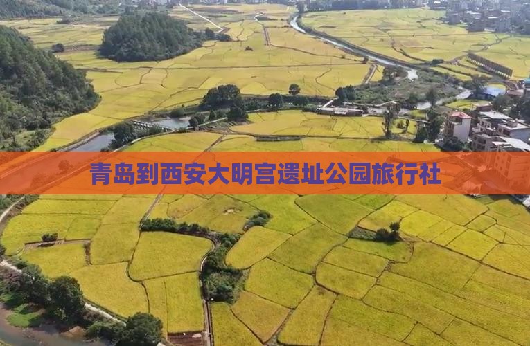 青岛到西安大明宫遗址公园旅行社