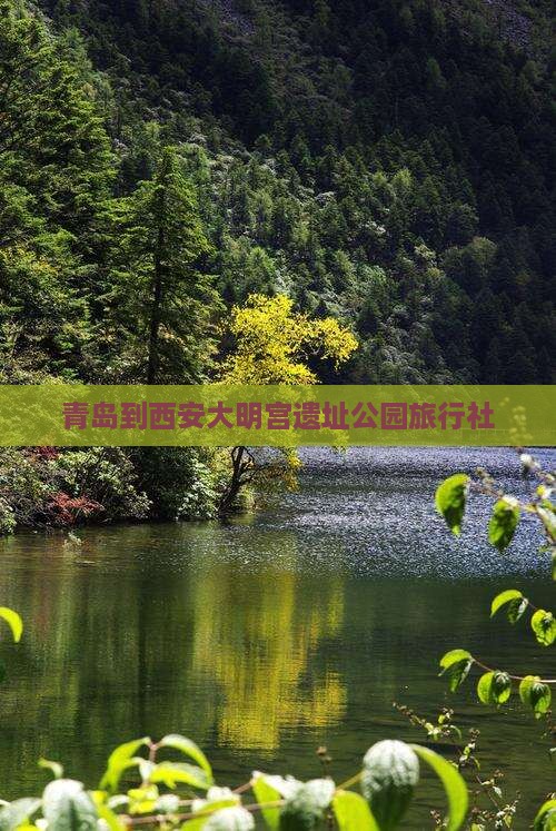 青岛到西安大明宫遗址公园旅行社