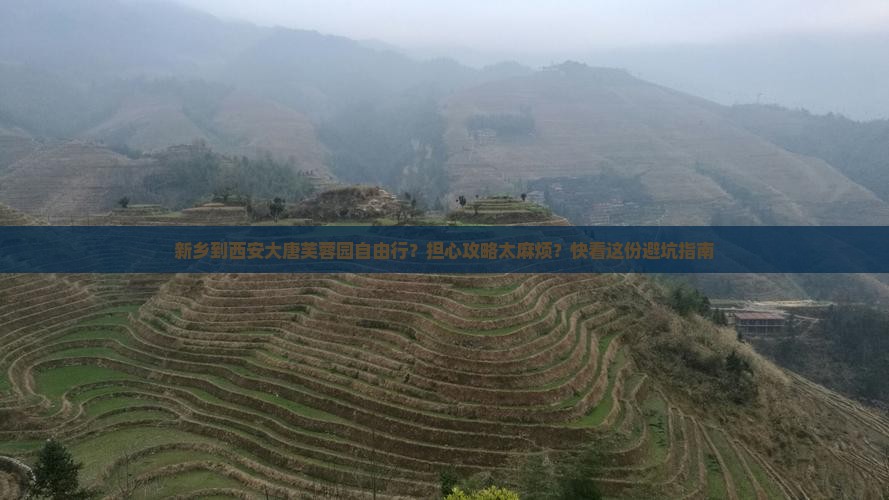 新乡到西安大唐芙蓉园自由行？担心攻略太麻烦？快看这份避坑指南