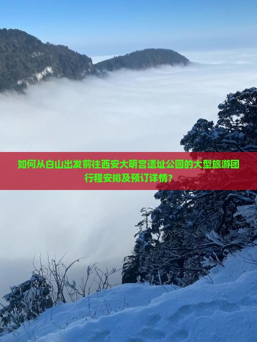 如何从白山出发前往西安大明宫遗址公园的大型旅游团行程安排及预订详情？
