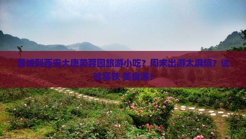晋城到西安大唐芙蓉园旅游小吃？周末出游太麻烦？试试高铁+美食游！