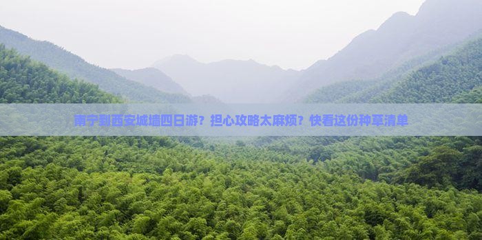 南宁到西安城墙四日游？担心攻略太麻烦？快看这份种草清单