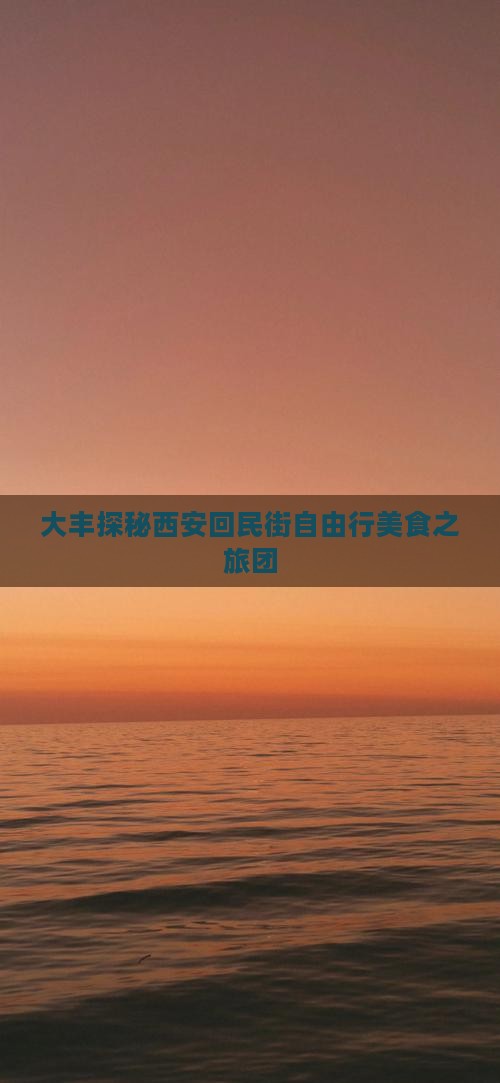 大丰探秘西安回民街自由行美食之旅团