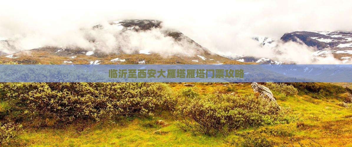 临沂至西安大雁塔雁塔门票攻略