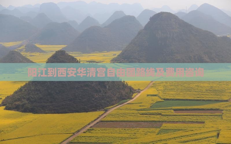 阳江到西安华清宫自由团路线及费用咨询