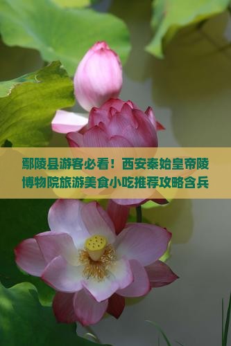 鄢陵县游客必看！西安秦始皇帝陵博物院旅游美食小吃推荐攻略含兵马俑