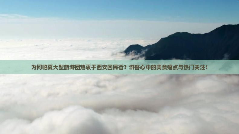 为何临夏大型旅游团热衷于西安回民街？游客心中的美食痛点与热门关注！