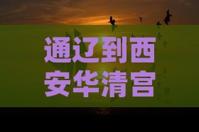 通辽到西安华清宫六日游