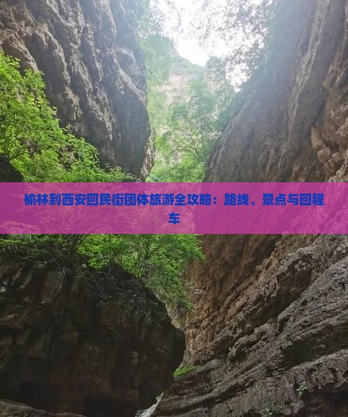 榆林到西安回民街团体旅游全攻略：路线、景点与回程车