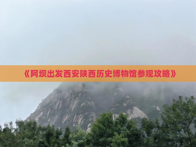 《阿坝出发西安陕西历史博物馆参观攻略》