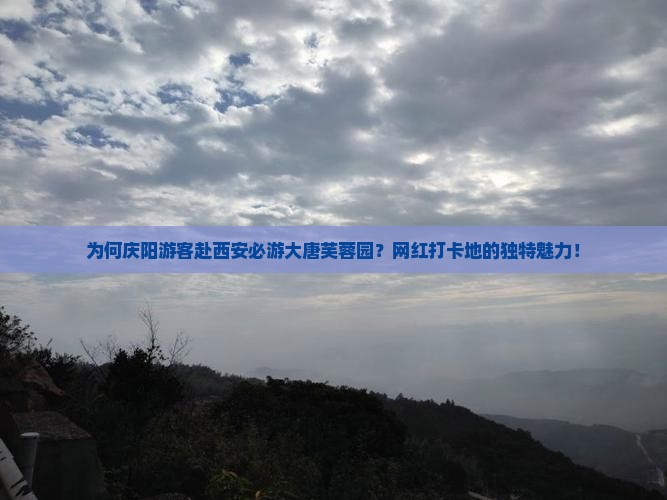 为何庆阳游客赴西安必游大唐芙蓉园？网红打卡地的独特魅力！