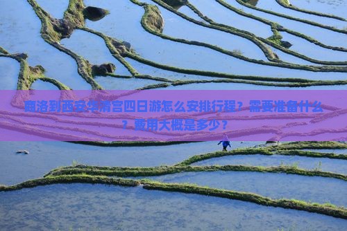 商洛到西安华清宫四日游怎么安排行程？需要准备什么？费用大概是多少？