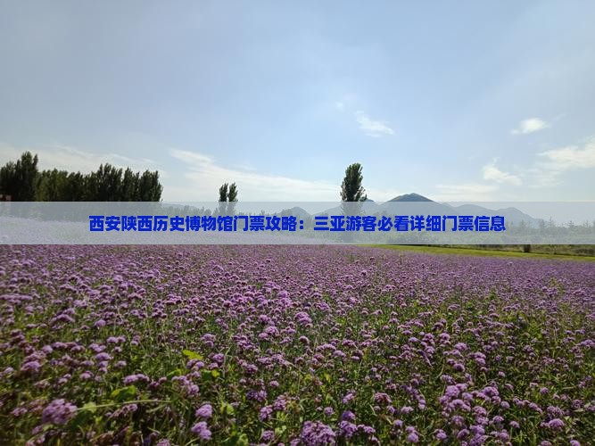 西安陕西历史博物馆门票攻略：三亚游客必看详细门票信息