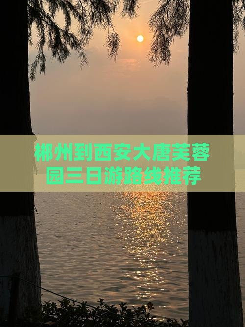 郴州到西安大唐芙蓉园三日游路线推荐
