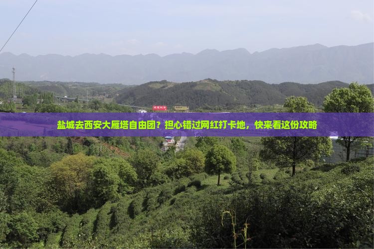 盐城去西安大雁塔自由团？担心错过网红打卡地，快来看这份攻略