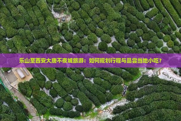 乐山至西安大唐不夜城旅游：如何规划行程与品尝当地小吃？