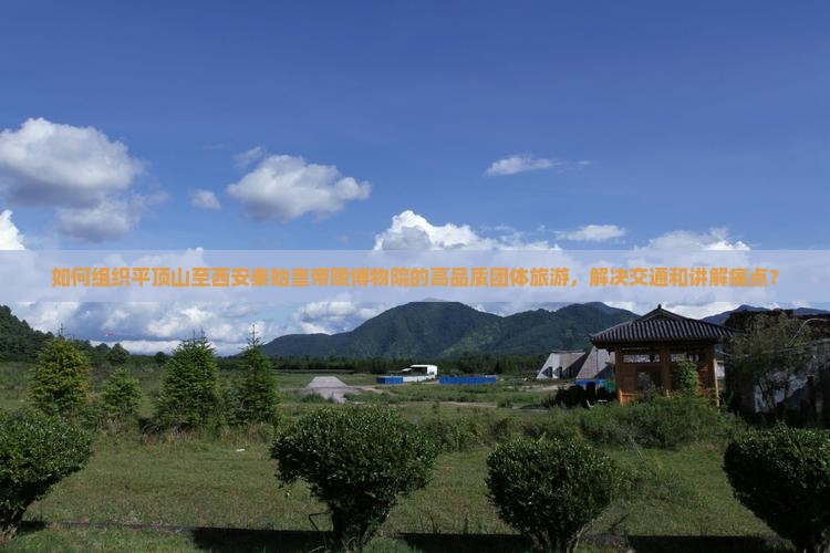 如何组织平顶山至西安秦始皇帝陵博物院的高品质团体旅游，解决交通和讲解痛点？