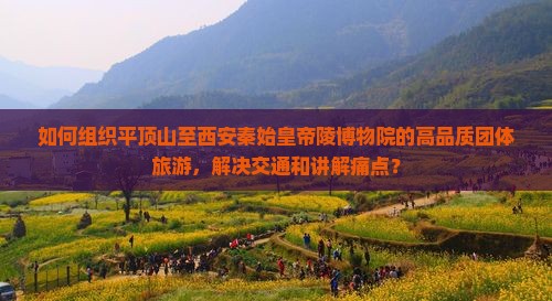 如何组织平顶山至西安秦始皇帝陵博物院的高品质团体旅游，解决交通和讲解痛点？