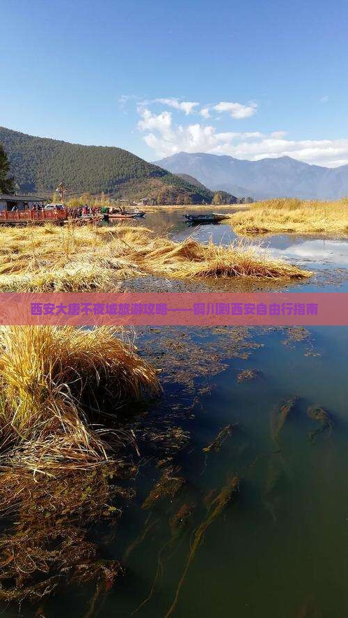 西安大唐不夜城旅游攻略——铜川到西安自由行指南