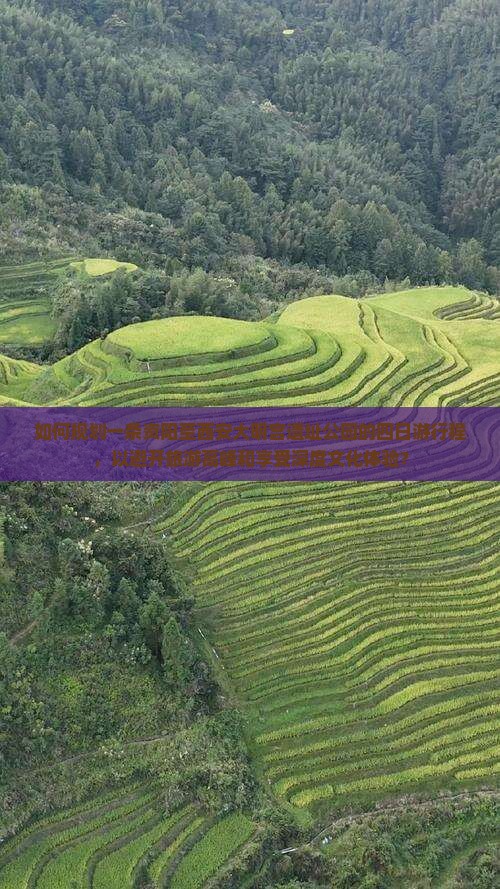 如何规划一条资阳至西安大明宫遗址公园的四日游行程，以避开旅游高峰和享受深度文化体验？