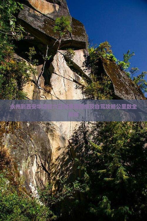 永州到西安华清宫六日游费用路线及自驾攻略公里数全解析