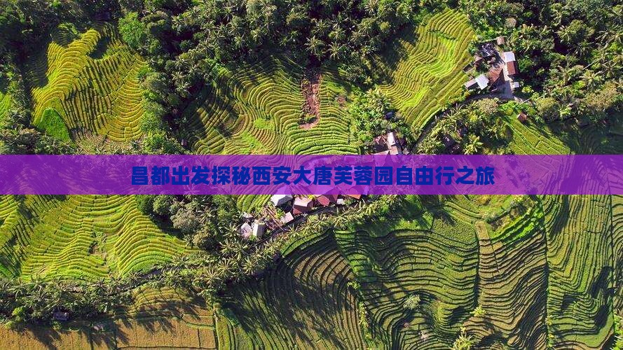 昌都出发探秘西安大唐芙蓉园自由行之旅