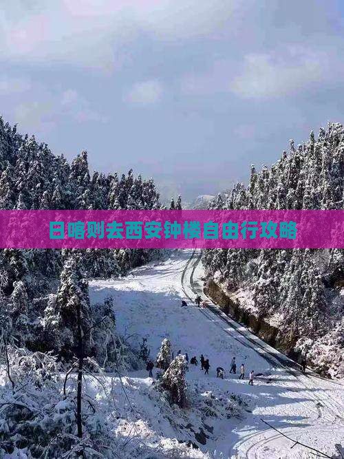 日喀则去西安钟楼自由行攻略
