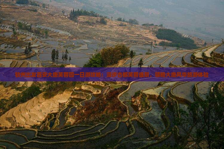 钦州出发西安大唐芙蓉园一日游攻略：漫步古都芙蓉盛景，领略大唐风华旅游体验