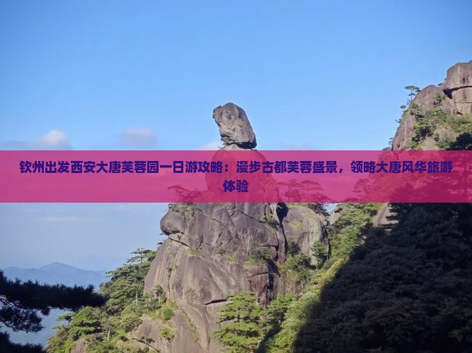 钦州出发西安大唐芙蓉园一日游攻略：漫步古都芙蓉盛景，领略大唐风华旅游体验