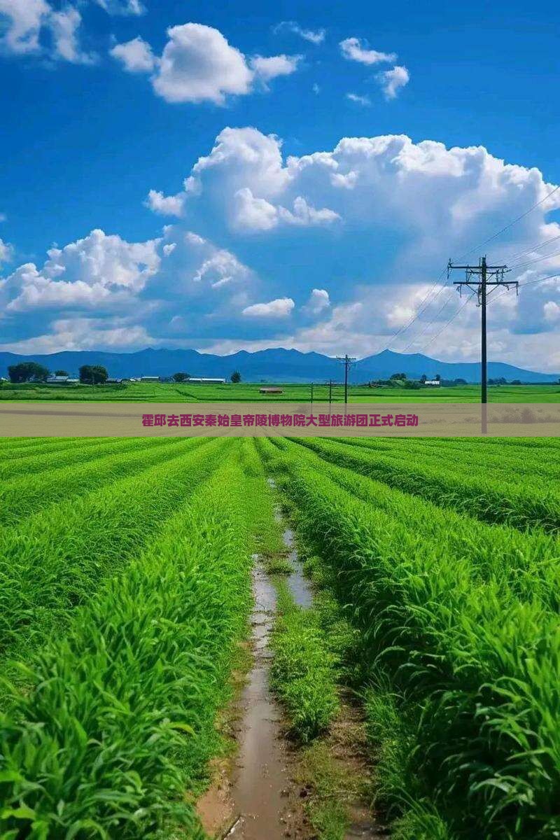 霍邱去西安秦始皇帝陵博物院大型旅游团正式启动
