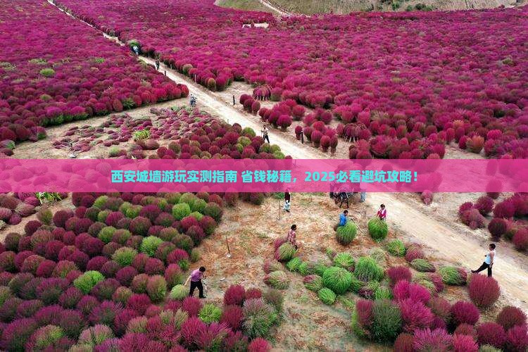 营口去西安城墙必去地