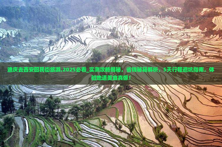 迪庆去西安回民街旅游