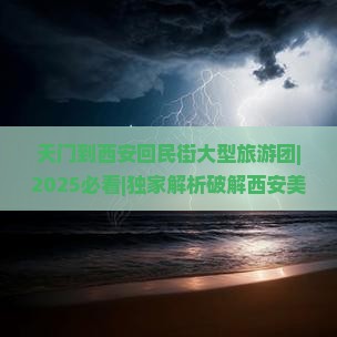 天门到西安回民街大型旅游团