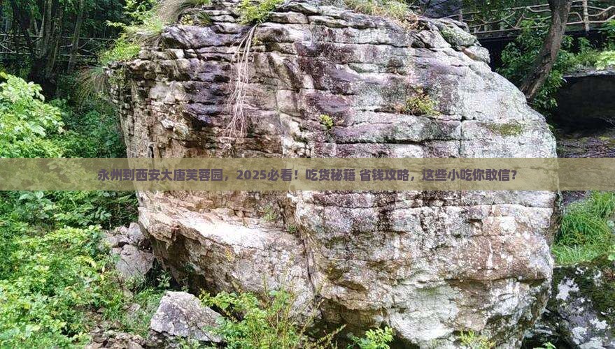 永州到西安大唐芙蓉园旅游小吃