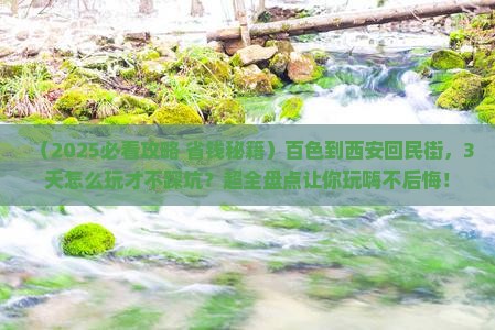 百色到西安回民街哪里玩