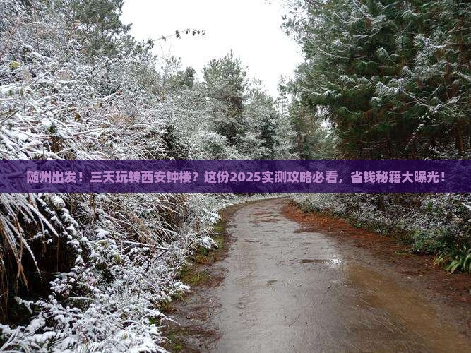 随州到西安钟楼三日游